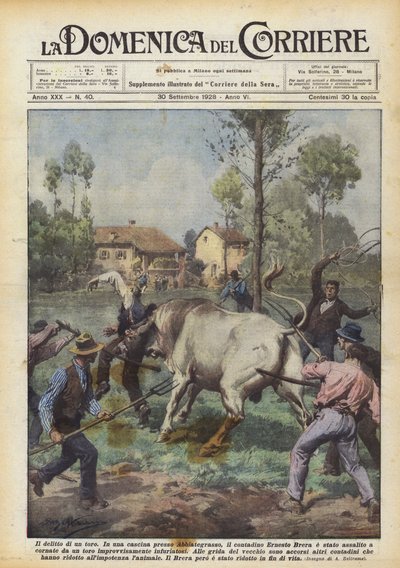 O crime de um touro de Achille Beltrame