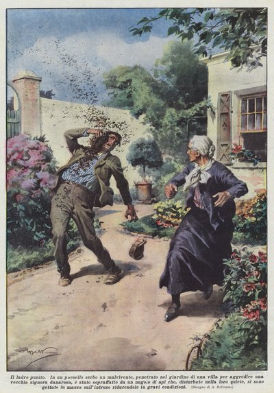 O ladrão punido de Achille Beltrame