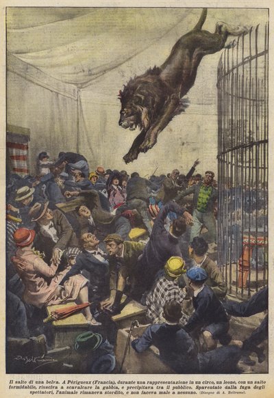 O salto de uma fera de Achille Beltrame