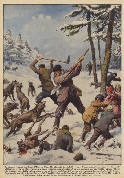 Em algumas regiões do norte da Europa, o frio glacial induziu lobos famintos de Achille Beltrame