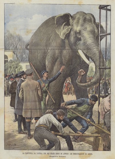 A partida de Londres para os Estados Unidos de Jingo, as manifestações de despedida de Achille Beltrame