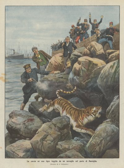 A caça de um tigre escapou de um zoológico no porto de Marselha de Achille Beltrame