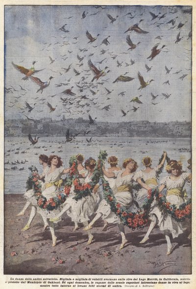 A dança dos patos selvagens de Achille Beltrame