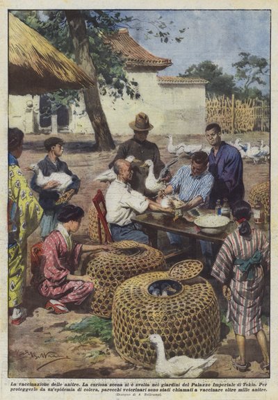 Vacinação de patos de Achille Beltrame
