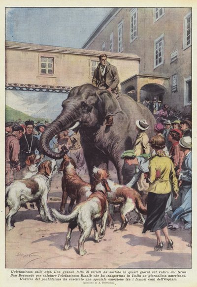 Elephantess nos Alpes de Achille Beltrame