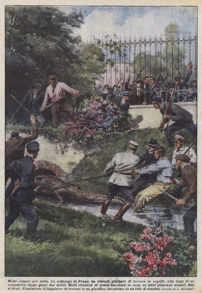 Muito barulho por nada de Achille Beltrame