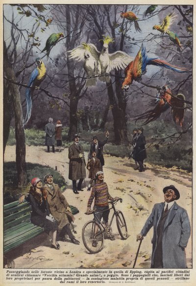 Andando nas florestas perto de Londres e especialmente em Epping, isso acontece com a pacífica de Achille Beltrame