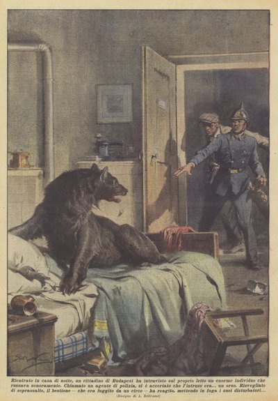 De volta à casa à noite, um cidadão de Budapeste viu uma cama enorme em sua cama de Achille Beltrame