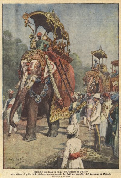Esplendores de conto de fadas em honra do Príncipe de Gales, um desfile de elefantes pitorescos de Achille Beltrame