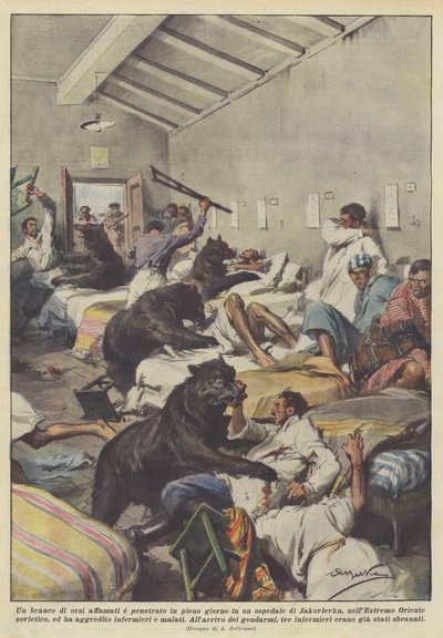 Um pacote de ursos famintos e penetrou em plena luz do dia em um hospital Jakovlevka de Achille Beltrame