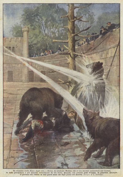 Um drama no Bear Pit, em Berna de Achille Beltrame