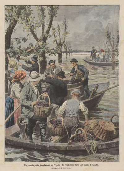 Um episódio das inundações em Veneto, a colheita feita por barco de Achille Beltrame