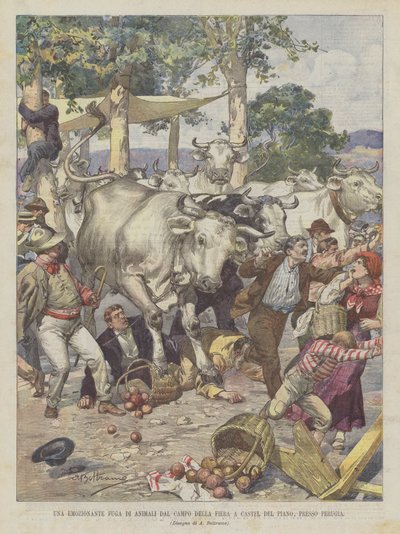 Um excitante animal Escape From the Fairground Em Castel Del Piano, perto de Perugia de Achille Beltrame