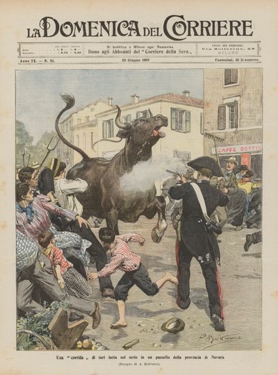 Uma tourada de touros feita a sério em uma aldeia na província de Novara de Achille Beltrame