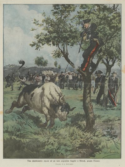 Uma excitante busca por um touro argentino escapou para Rifredi, perto de Florença de Achille Beltrame