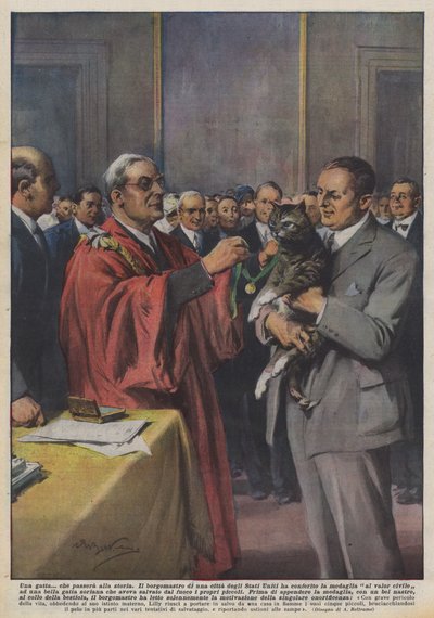 Um gato que passará para a história de Achille Beltrame