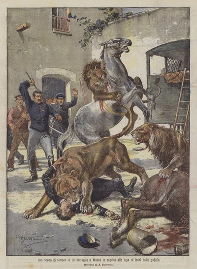 Uma cena de terror em um zoológico em Moscou após o vôo dos leões da gaiola de Achille Beltrame