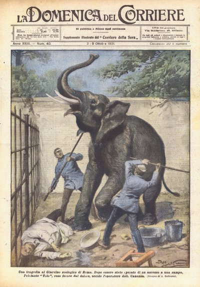 Uma tragédia no zoológico de Roma de Achille Beltrame