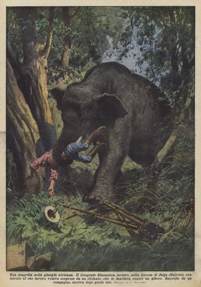 Uma tragédia na selva africana de Achille Beltrame