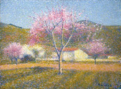 Um pomar na Primavera (maçã em flor) (óleo sobre tecido de algodão) de Achille Lauge