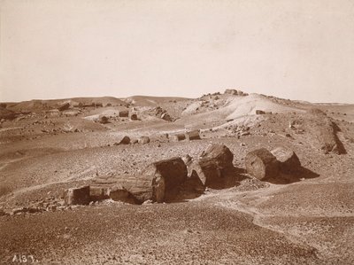 Na Floresta Petrificada (vista geral, Middle Park),c.1895-1897 (foto) de Adam Clark Vroman