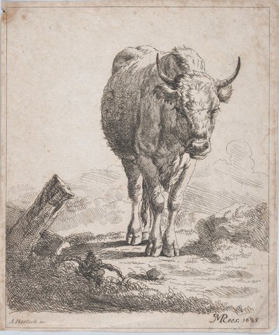 Uma vaca, vista de frente, 1805. de Adam von Bartsch
