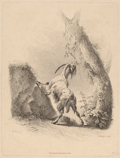 Cabra em uma paisagem, 1805. de Adam von Bartsch