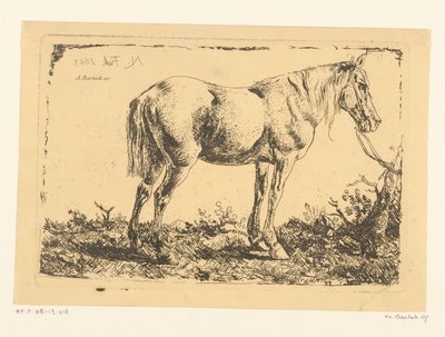 Cavalo sobre uma árvore de Adam von Bartsch