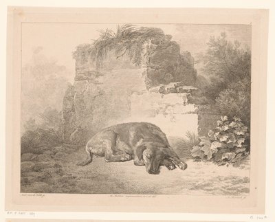 Cão adormecido em frente a uma parede
Animais após pinturas de mestres holandeses (título da série)
Différens animaux gravés d