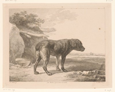 Cão de pé em uma paisagem Animais após pinturas de mestres holandeses (título da série) Différens animaux graves d