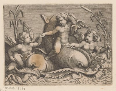 Três putti com golfinhos de Adamo Scultori