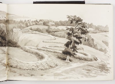 Caderno de Desenhos de Tinta e Grafite e Aquarela de Adela Breton