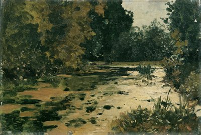 Lagoas florestais de Adolf Gustav Ditscheiner