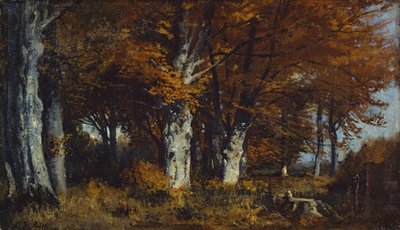 Floresta de faias no outono de Adolf Heinrich Lier