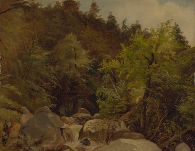Cachoeira perto de Ohlstadt de Adolf Heinrich Lier