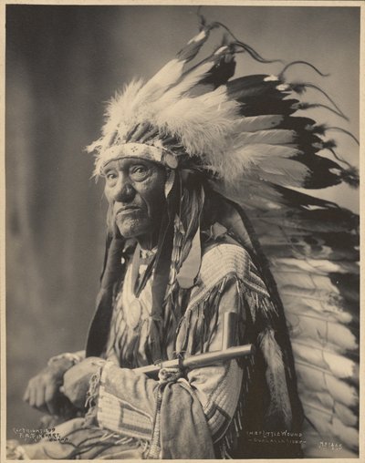 Chefe Little Wound, Ogalalla Sioux de Adolph F. Muhr