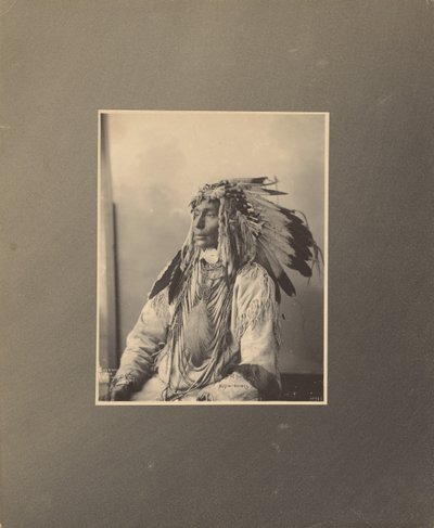 Matar o cavalo malhado, Assiniboines de Adolph F. Muhr