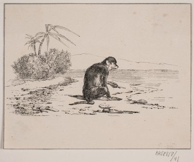 O gato macaco de Johan Adolph Kittendorff