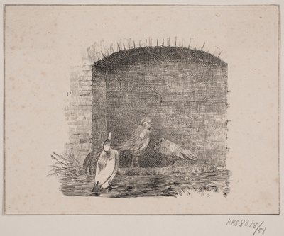 As galinhas e os patos de Johan Adolph Kittendorff