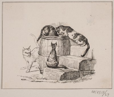 Os gatos de Johan Adolph Kittendorff
