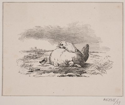 As galinhas de Johan Adolph Kittendorff