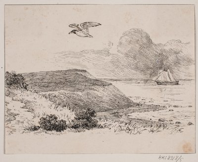 A gaivota de Johan Adolph Kittendorff