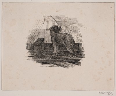 O cão poodle de Johan Adolph Kittendorff