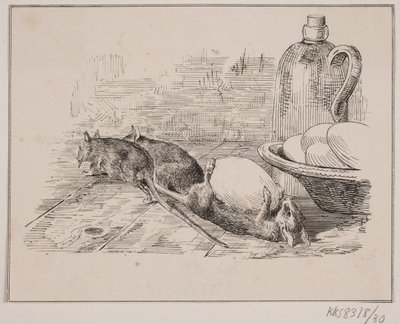 Os ratos de Johan Adolph Kittendorff