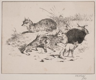 A Raposa de Johan Adolph Kittendorff