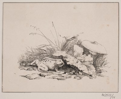 O sapo de Johan Adolph Kittendorff
