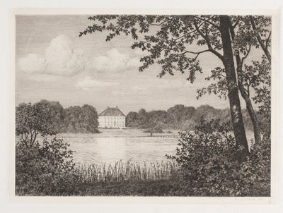 Festa em Dronninggaard de Adolph Larsen