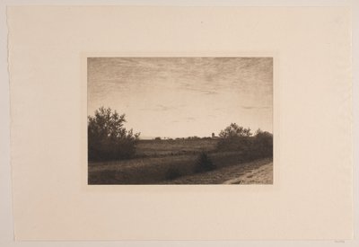 Noite de verão em Rødovre de Adolph Larsen