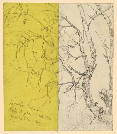 Birkenbusch de Adolph Menzel