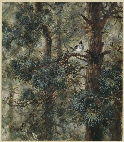  de Adolph Menzel